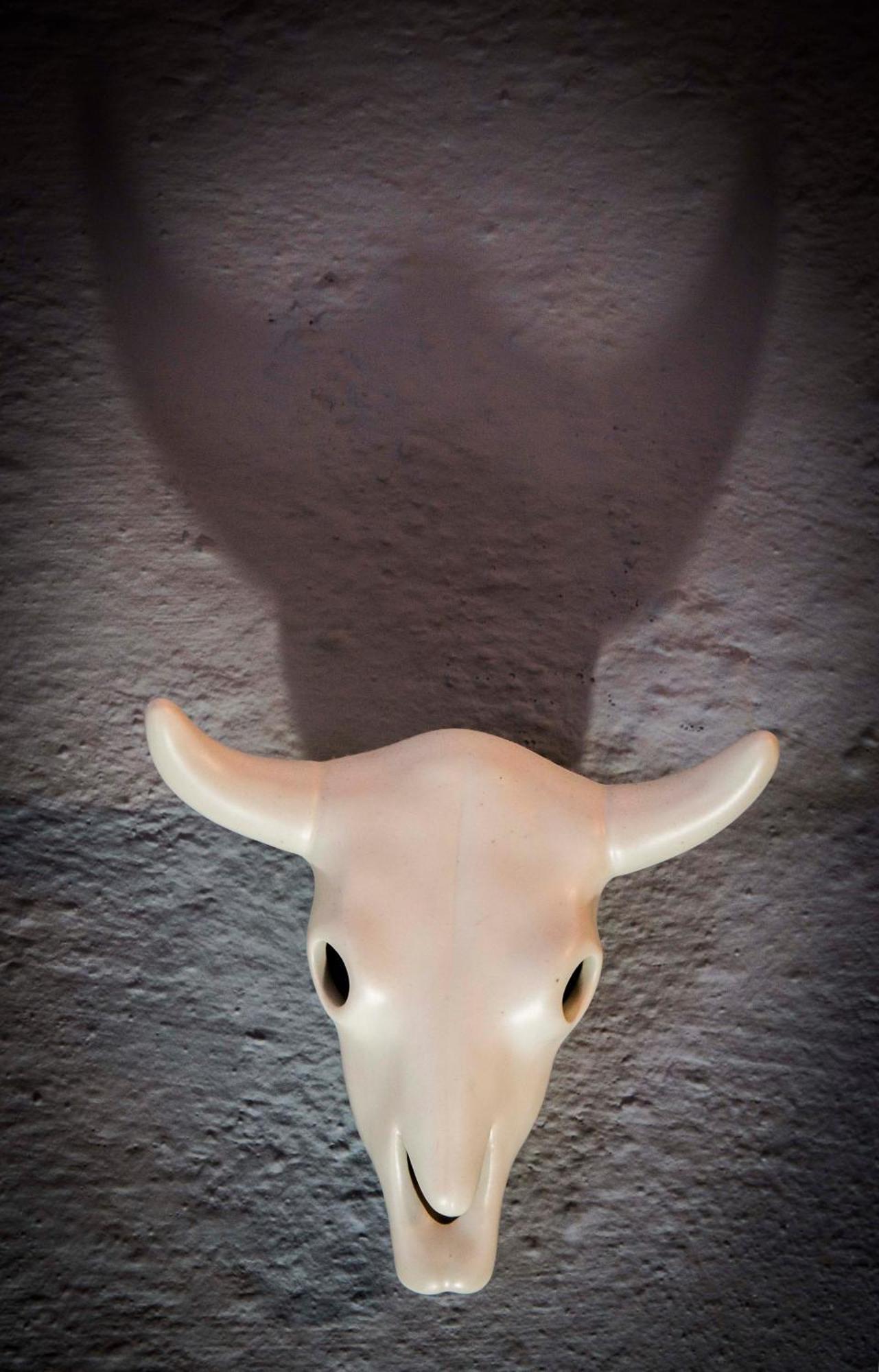 Somerset Stables Graaff-Reinet Quarto foto
